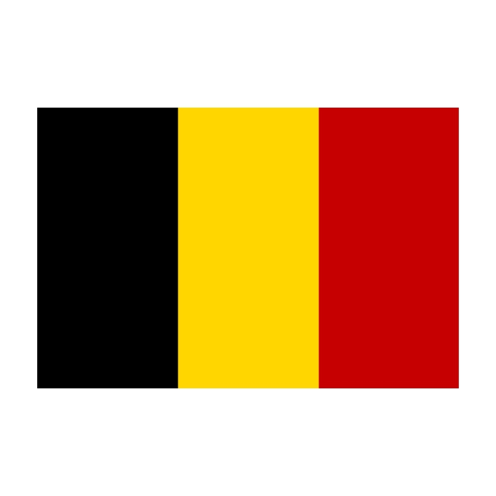 Flagge Belgien 30 x 45 cm
