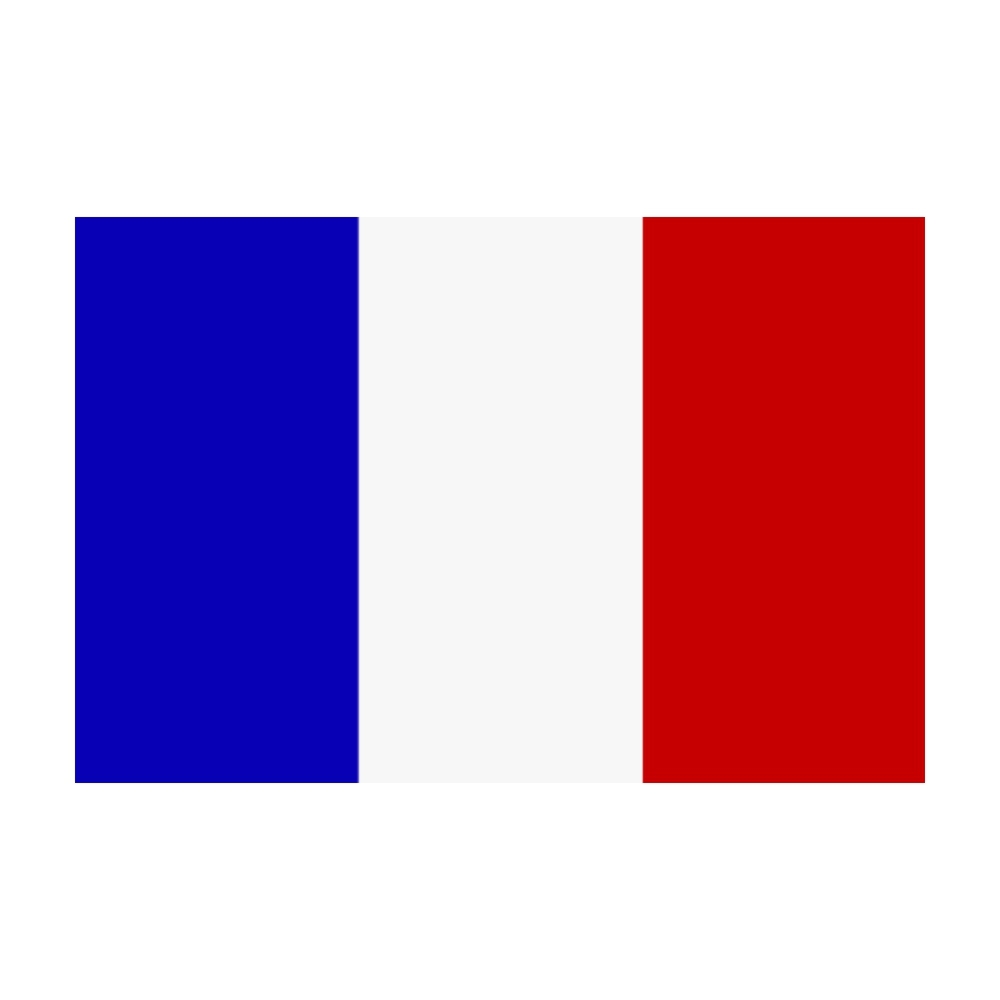 Flagge Frankreich 30 x 45 cm