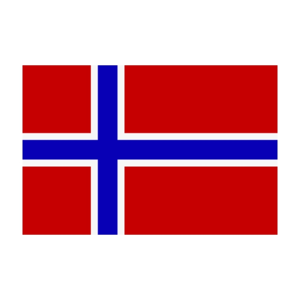 Flagge Norwegen 30 x 45 cm