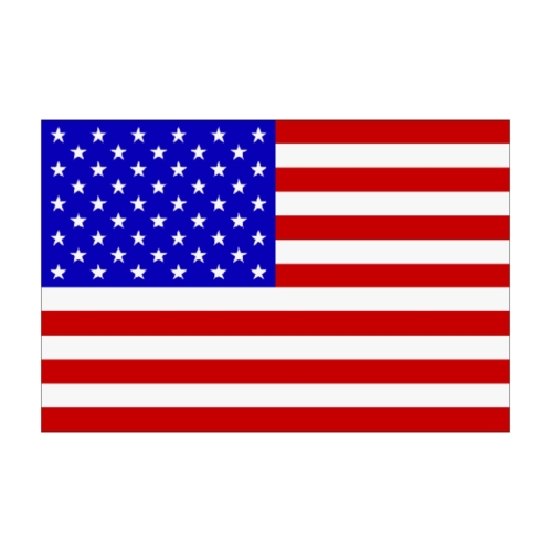 Flagge USA 30 x 45 cm