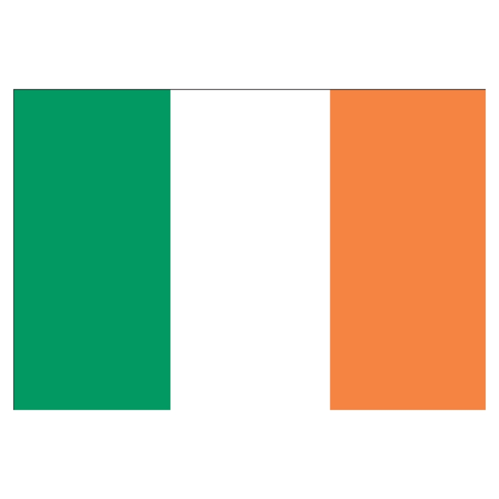 Flagge Irland 30 x 45 cm