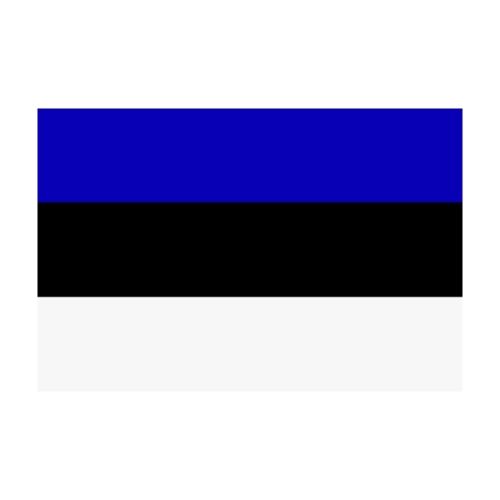 Flagge Estland 20 x 30 cm