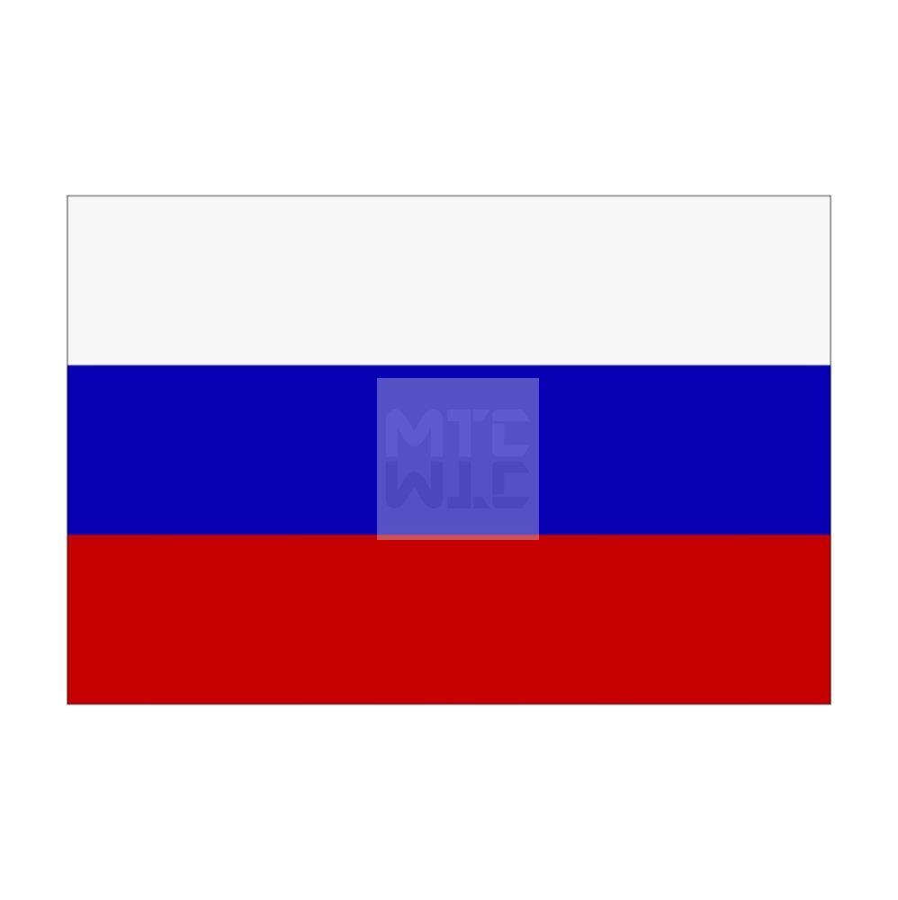 Flagge Russland 20 x 30 cm, 4,90 €